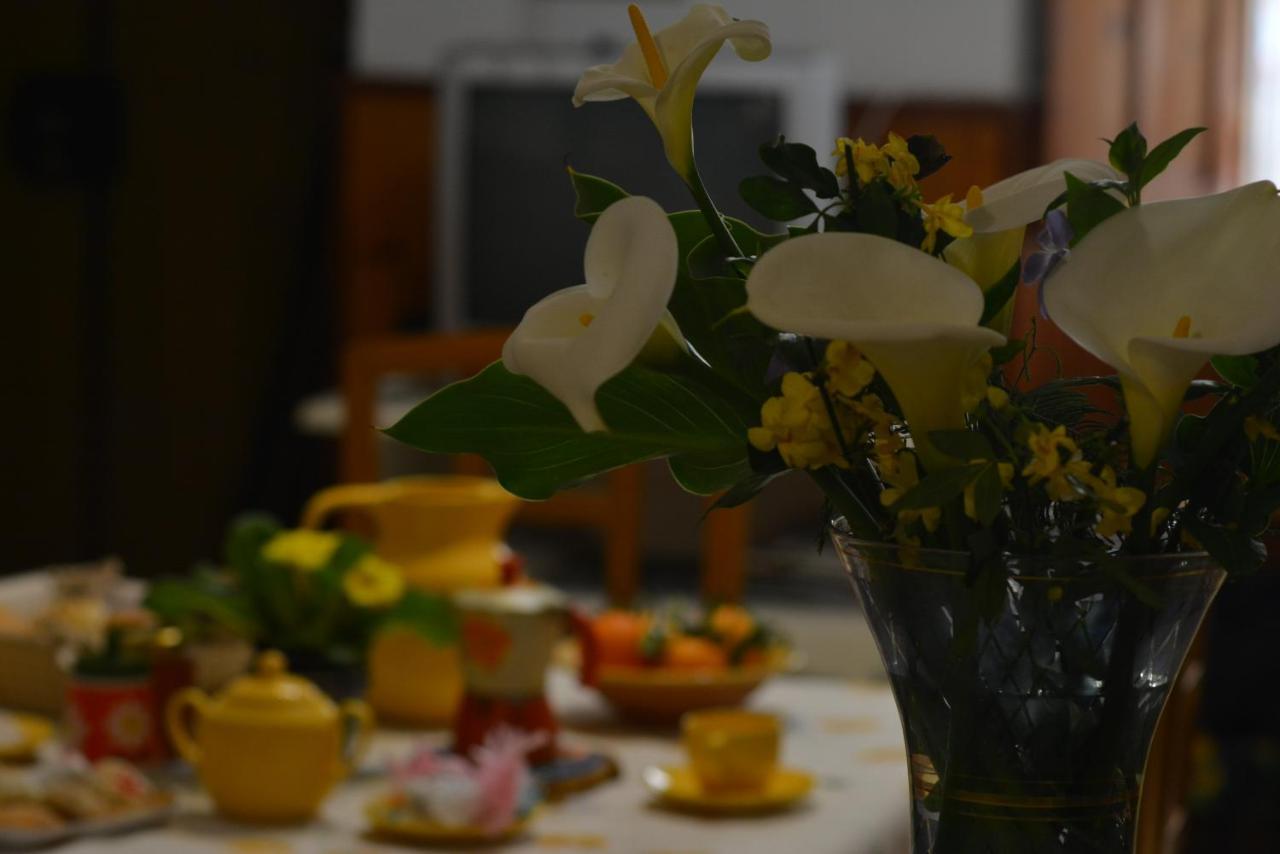 Casa Vacanze I Girasoli イグレージアス エクステリア 写真